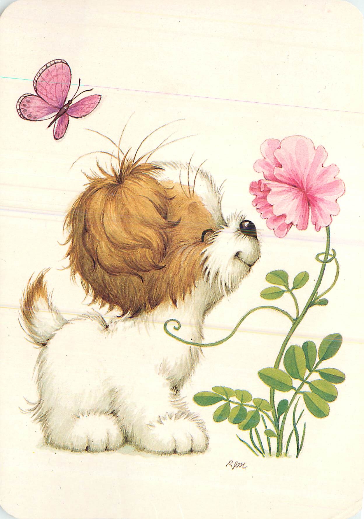 CPM Chien Papillon Fleurs