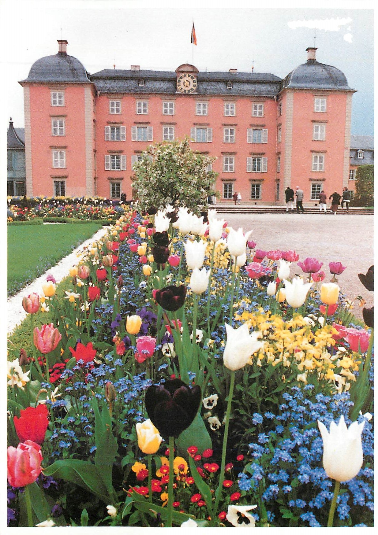 CPM Schloss schwetzingen im fruhlingsschmuck