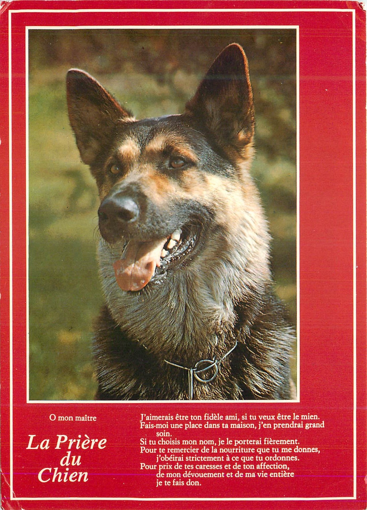 CPM La Priere du Chien