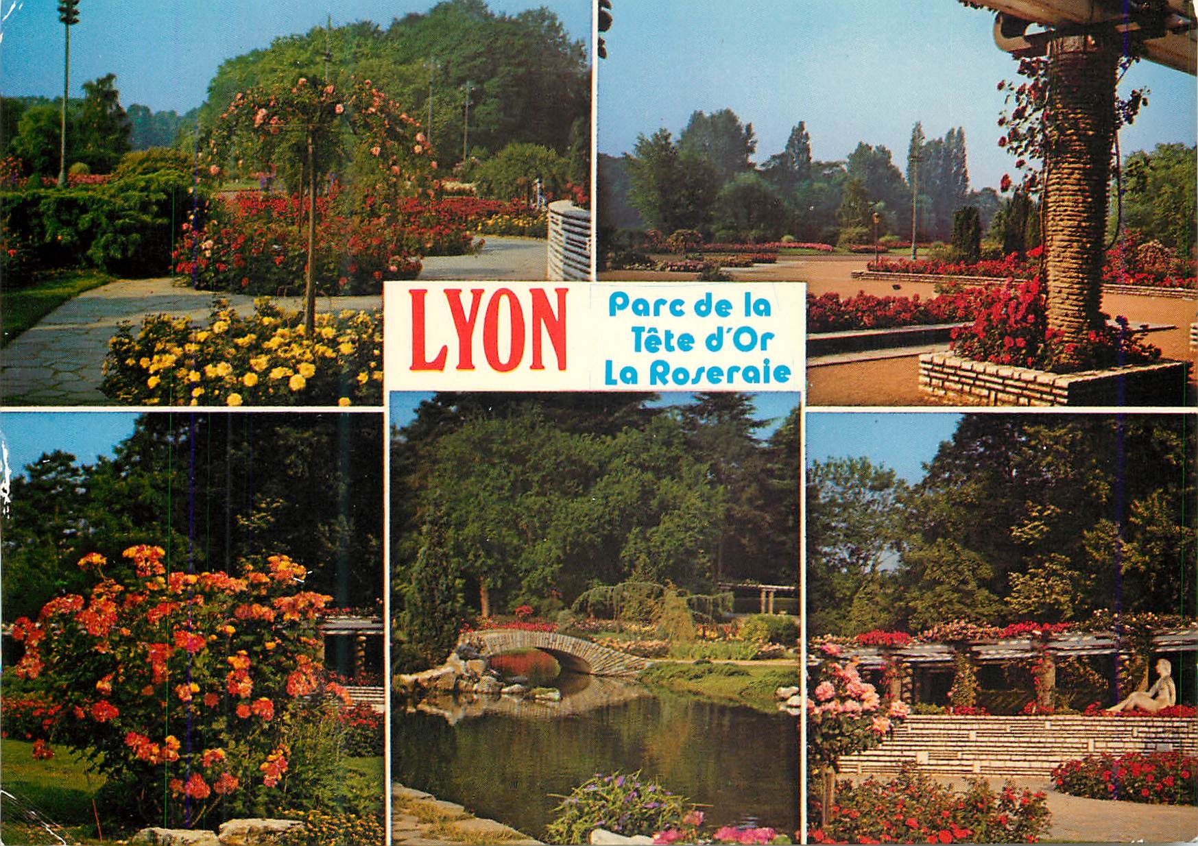 CPM Lyon Parc de la Tete d'Or La Roseraie