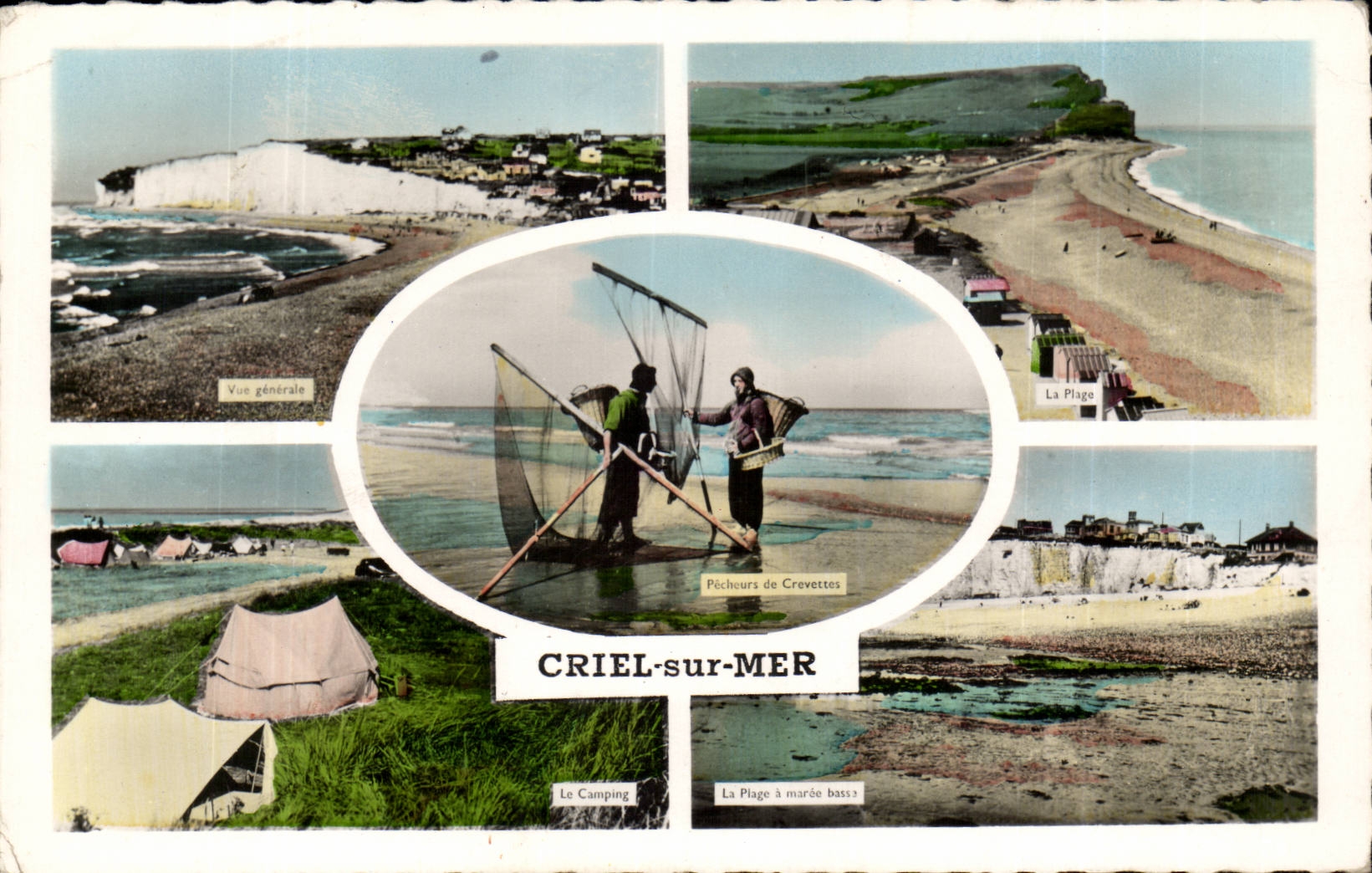 CPSM Criel on sea Sinners of shrimps