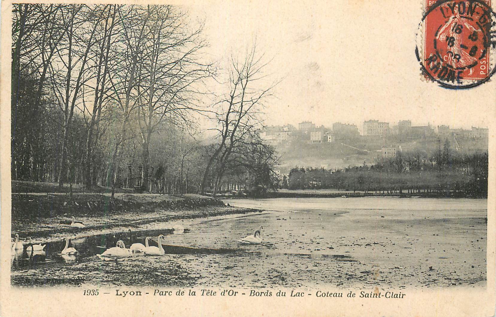 CPA Lyon Parc de la Tete d'Or Bords du Lac Coteau de Saint-Clair