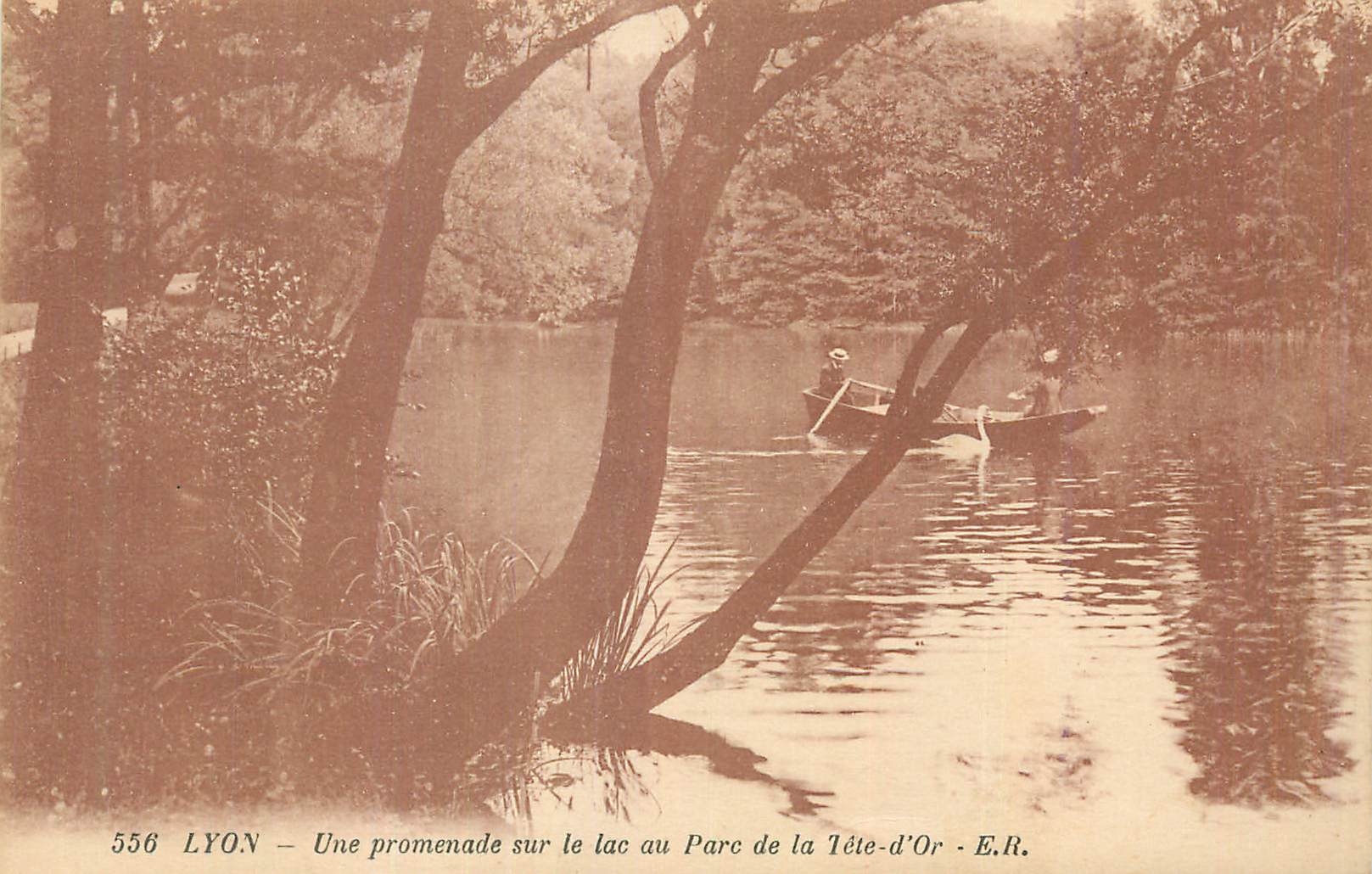CPA Lyon Une promenade sur le lac au Parc de la Tete d'Or