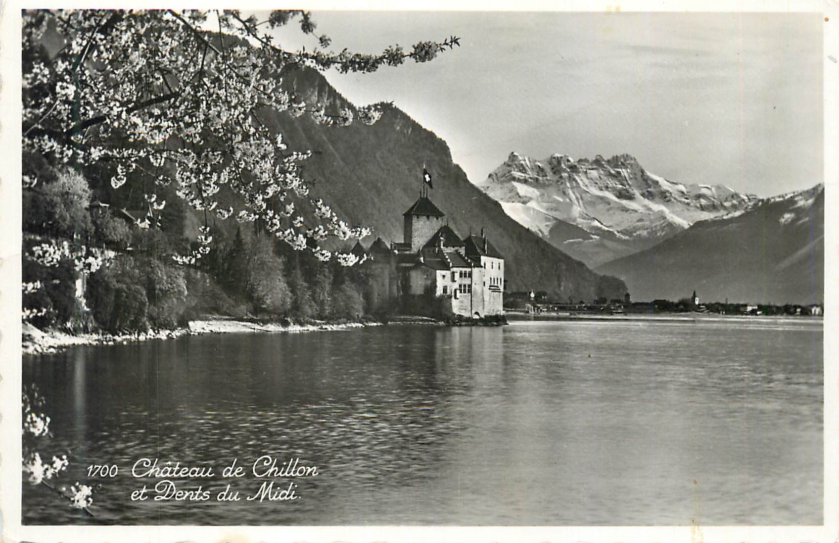 CPM Chateau de Chillon et Dents du Midi