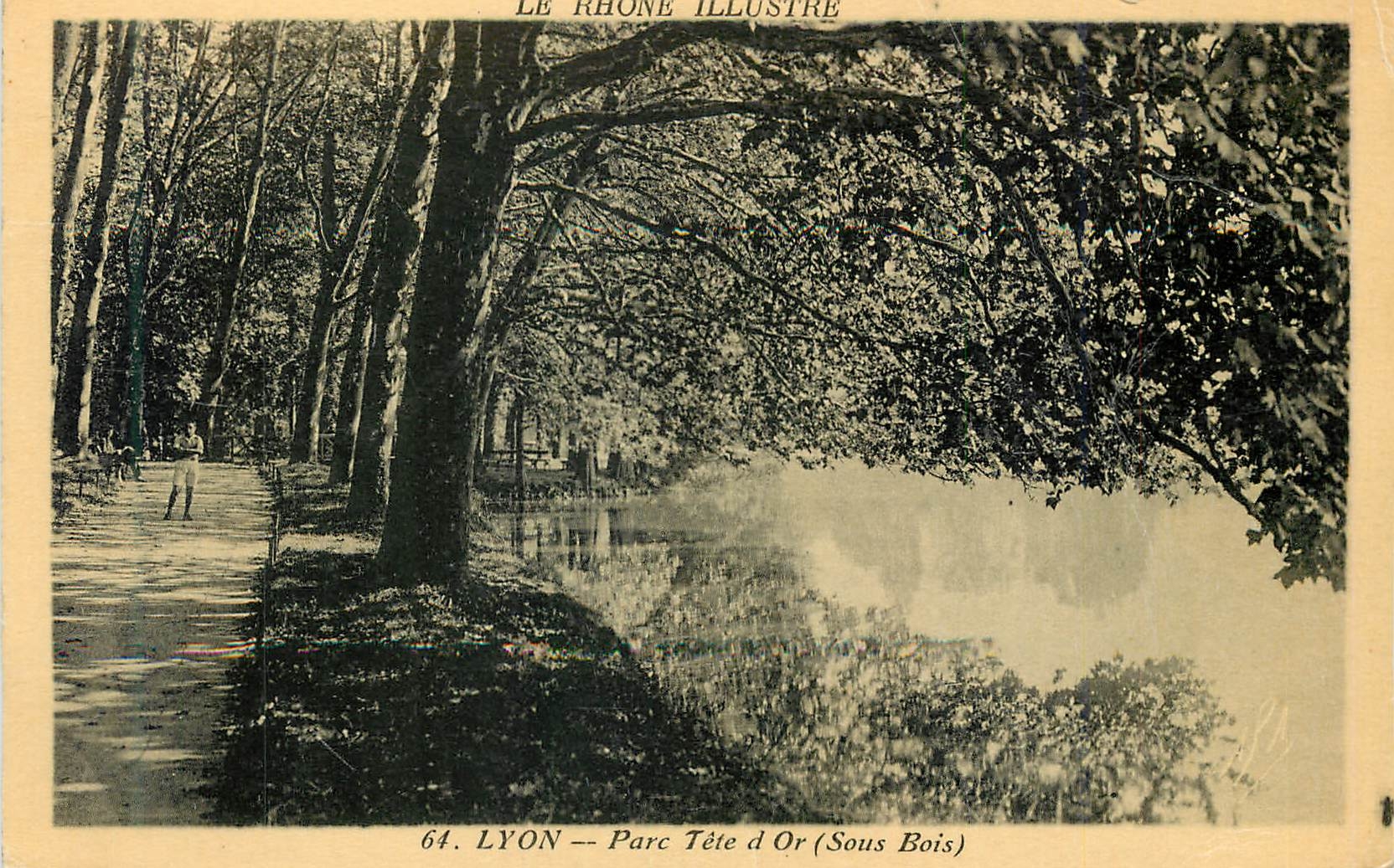 CPA Lyon Parc Tete d Or Sous Bois 