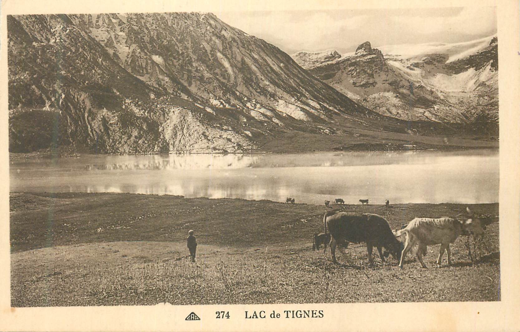 CPA 274 lac de tignes Chevre
