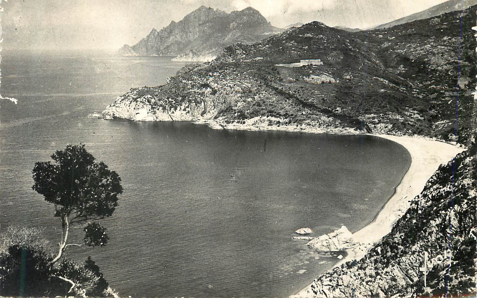 CPM Golfe de porto (corse) plage de bussagna