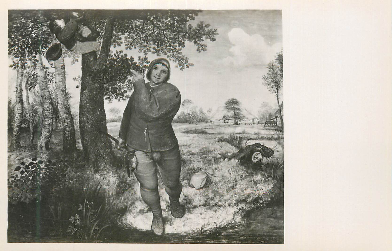 CPA Kunsthistorisches Museum Wien Peter Bruegel (152 1569) Le Denicheur