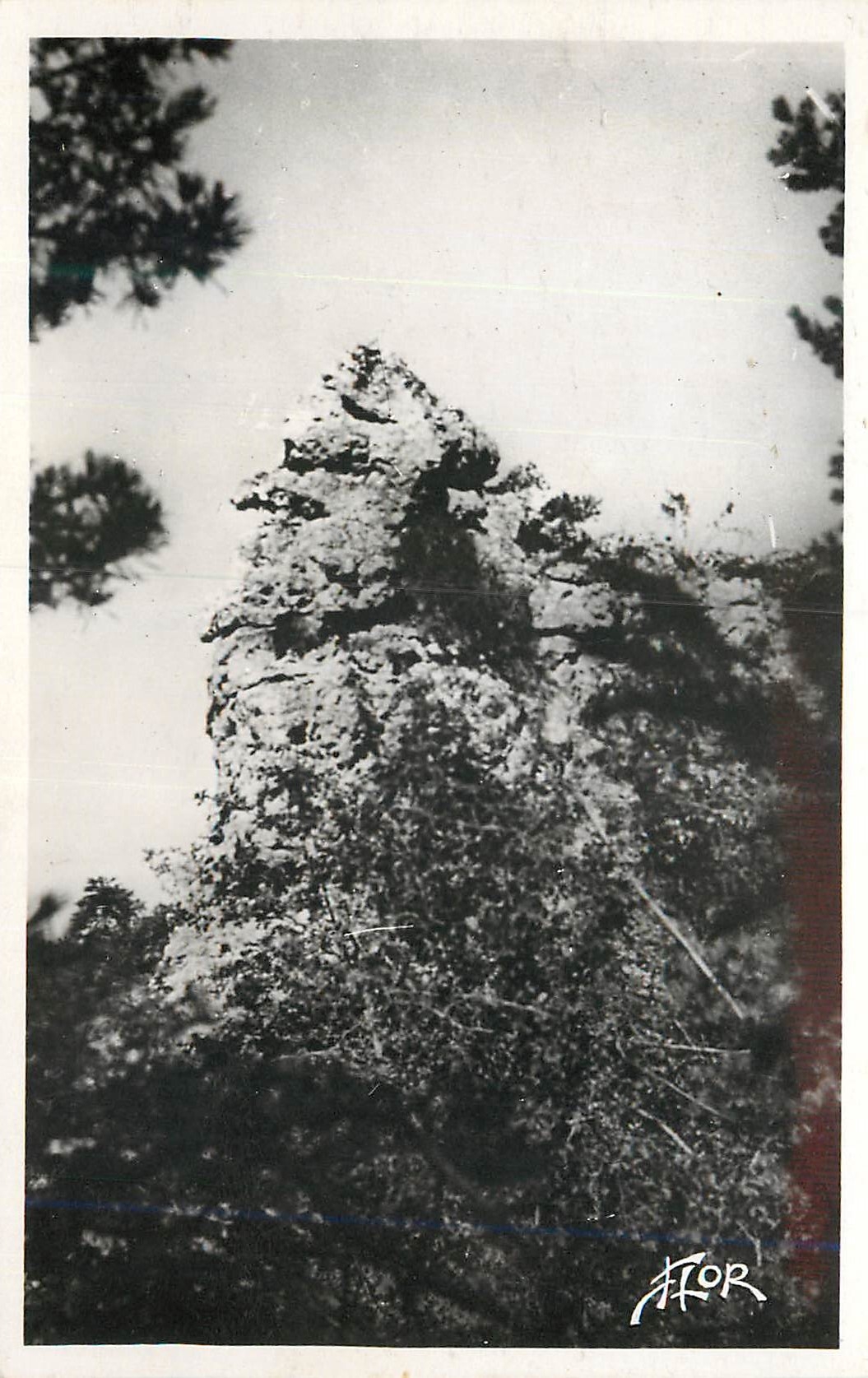 CPM Montpellier le Vieux (Aveyron) la Tete d'Arlequin