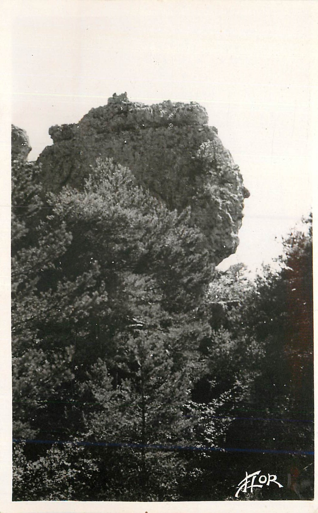 CPM Montpellier le Vieux (Aveyron) Profil de la Reine Victoria