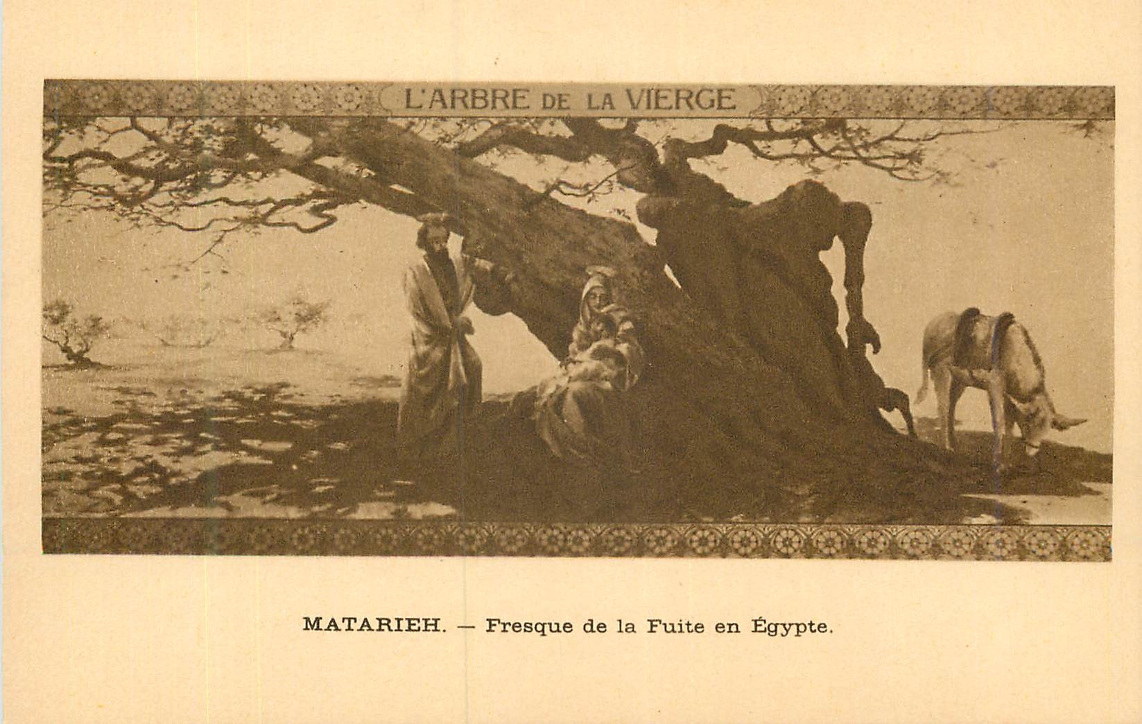 CPA l'Arbre de la Vierge Matarieh Fresque de la Fuite en Egypte