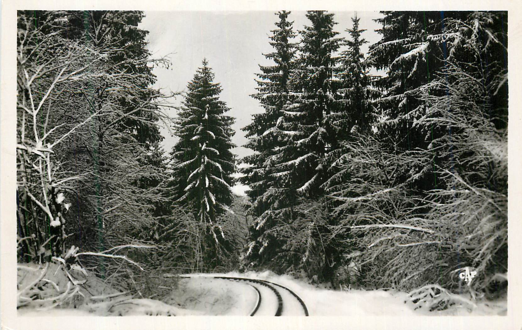 CPM St Gervais les Bains La Ligne du TBM en Foret Sous la Neige