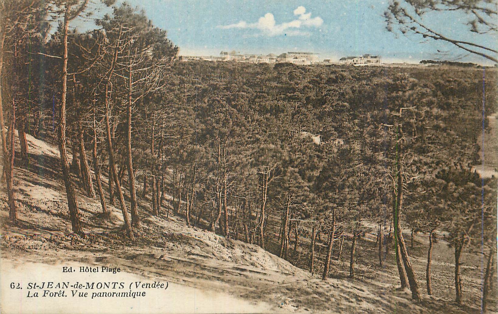 CPA St Jean de Monts (Vendee) La Foret Vue Panoramique