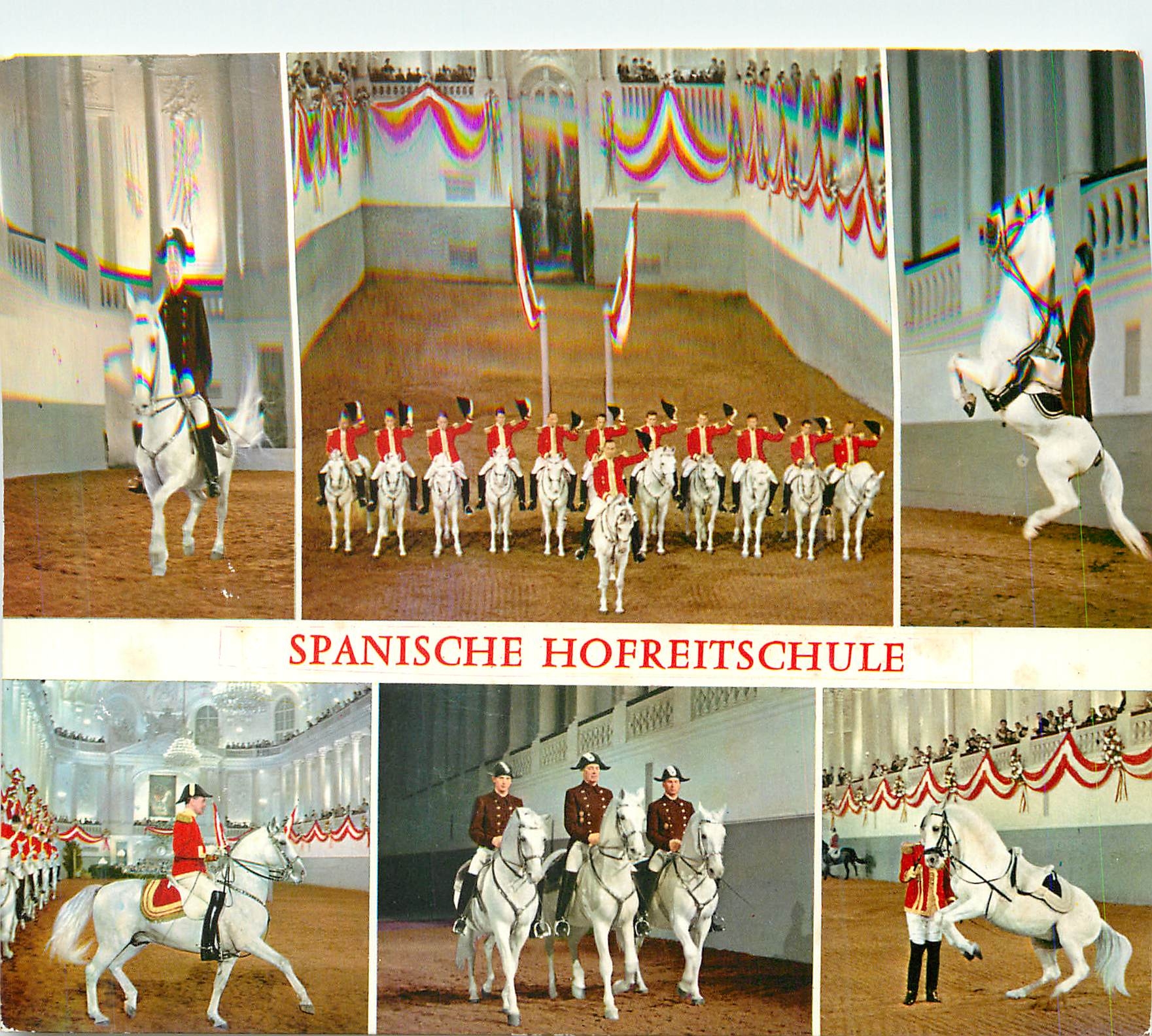 CPM Vienne l'Ecole d'Equitation Espagnole Chevaux