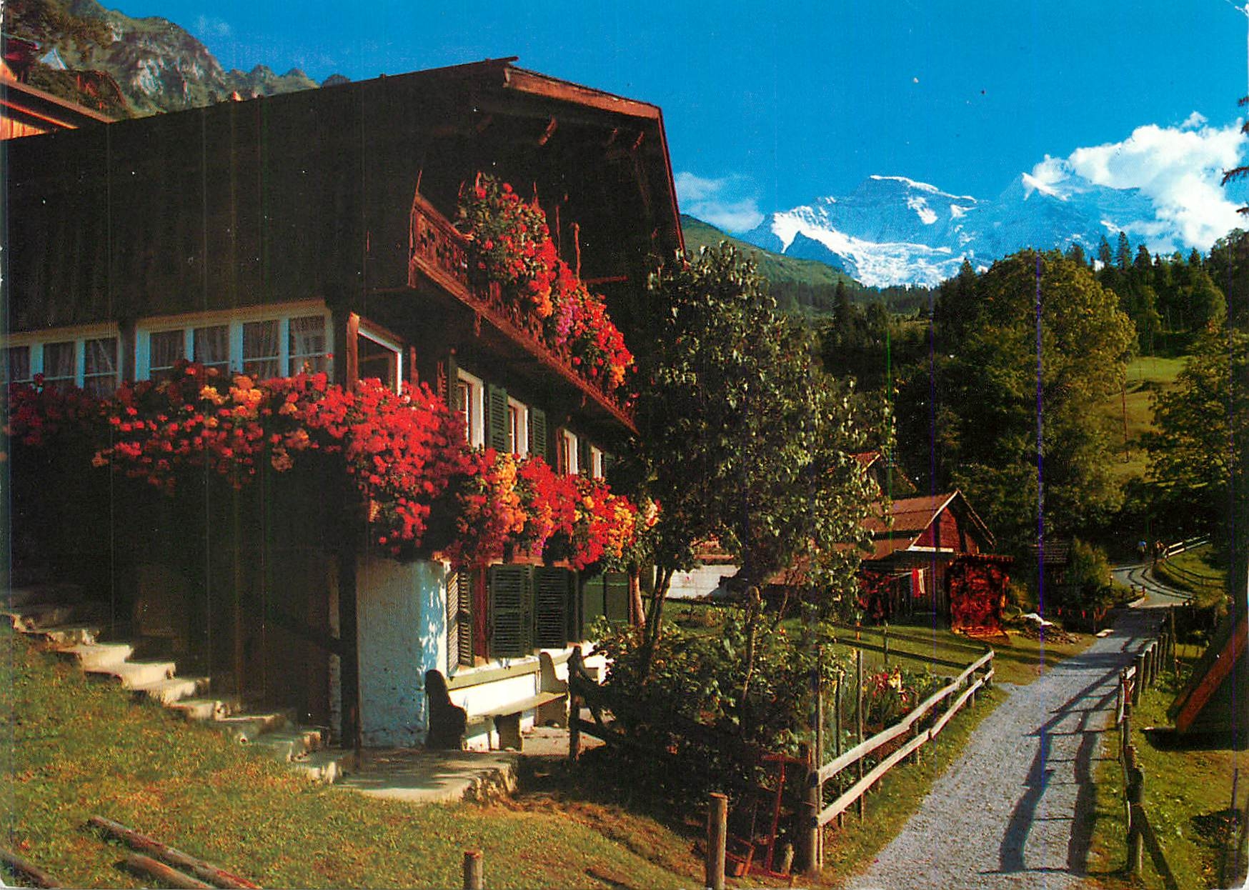 CPM Wengen Altes Bauernhaus im Schiltwald