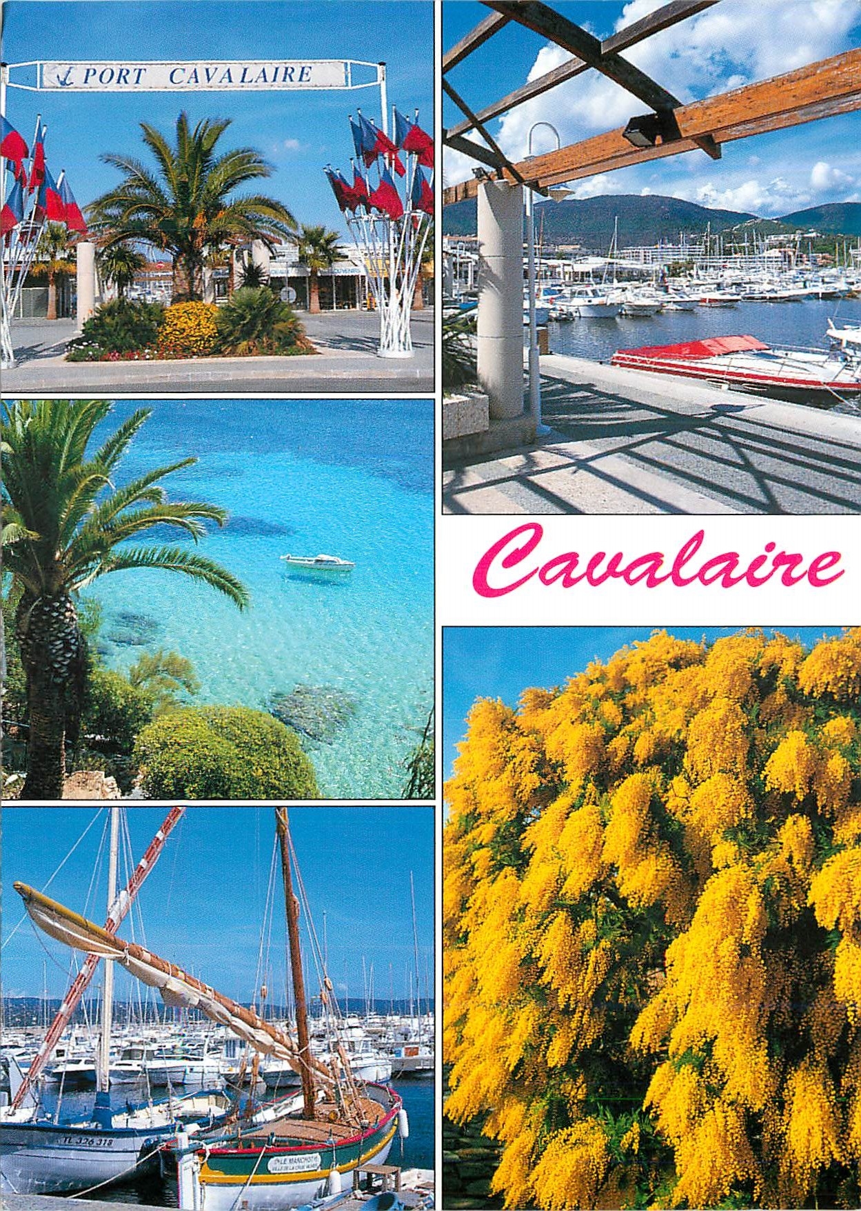 CPM Souvenir de Cavalaire