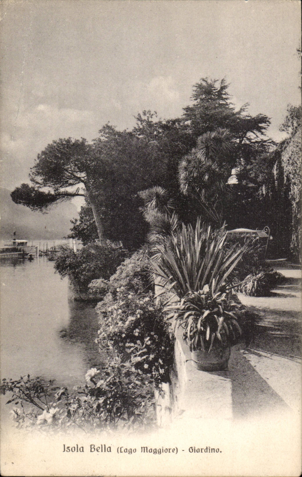 CPA Italy Italia insulated Bella Lago maggiore Giardino