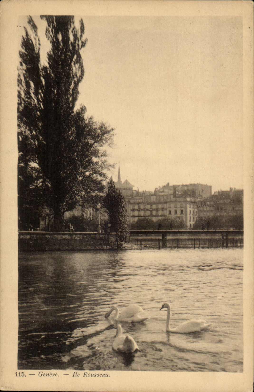 Swiss CPA Geneva Island Rousseau Swan Swans