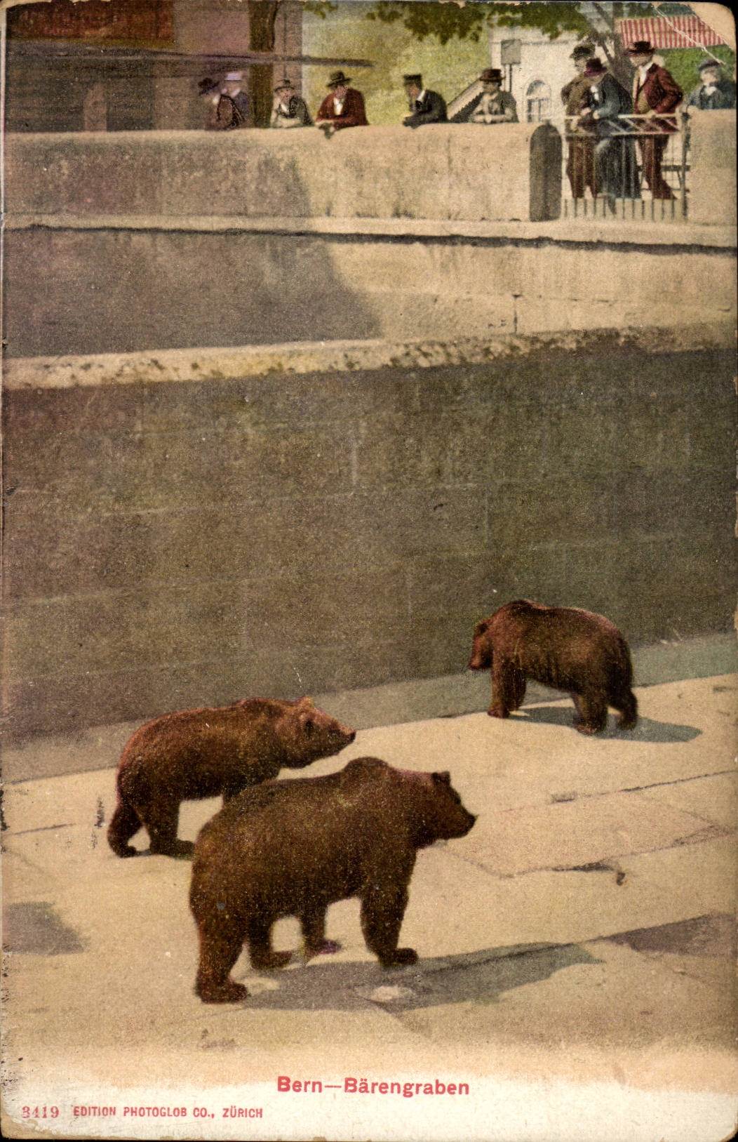 Swiss CPA Bern Barengraben Bear bear