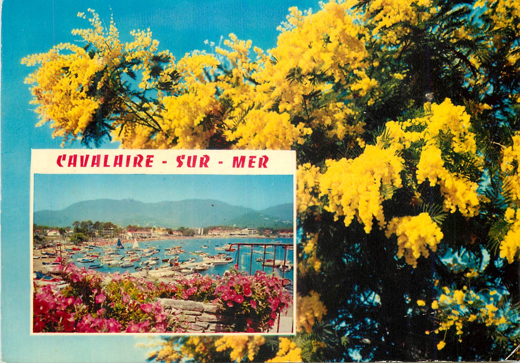 CPM Cavalaire sur Mer Var La Perle du Var