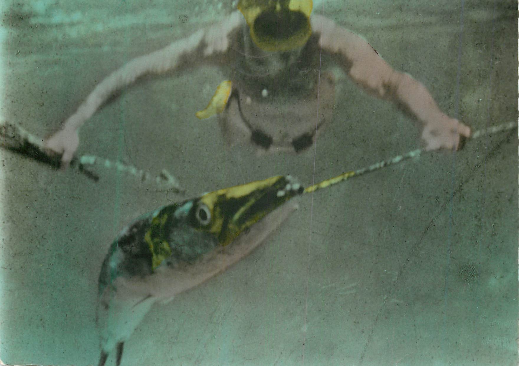CPM La capture d un Barracuda n est pas sans danger