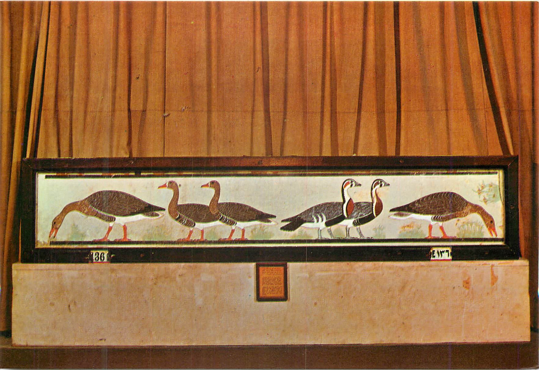 CPM Egypt Le Musee Egyptien Le Caire 
