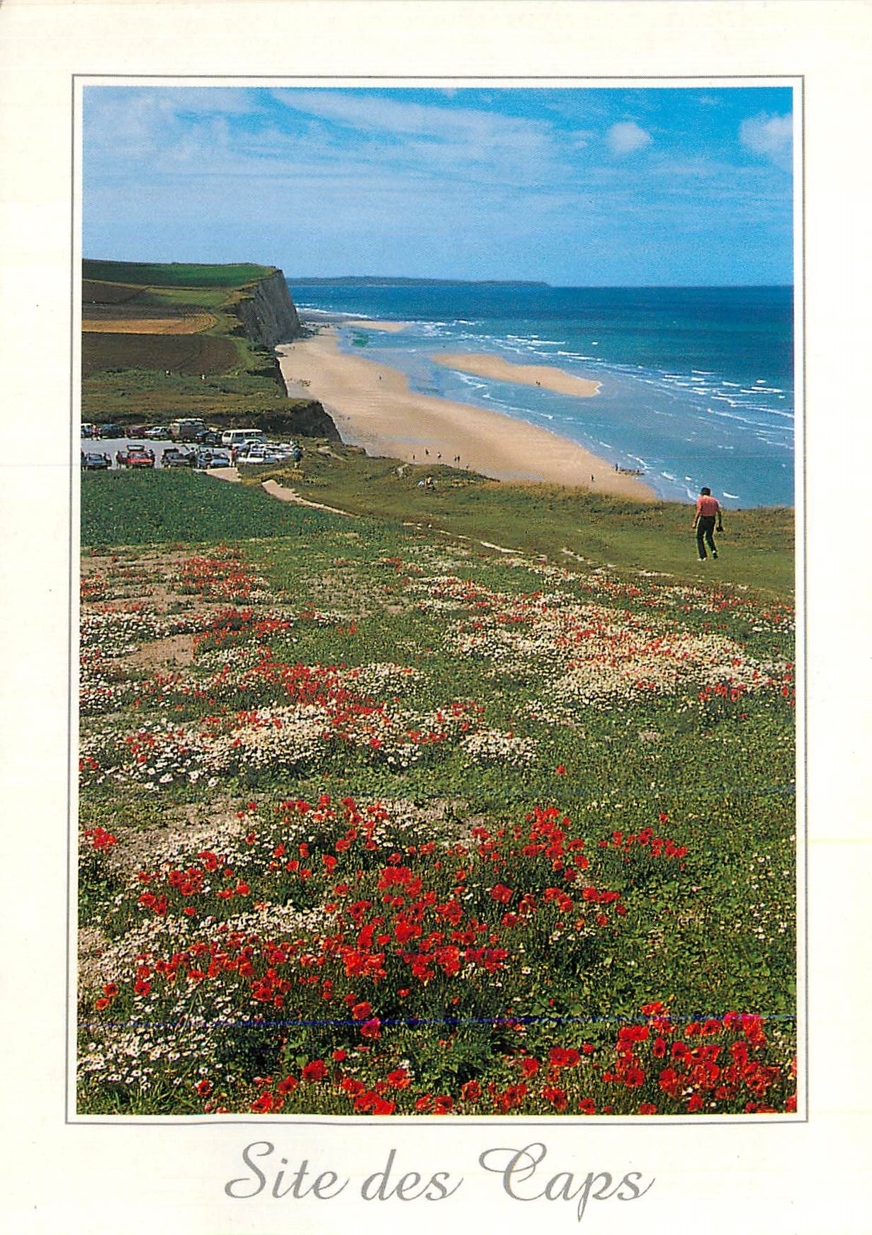 CPM Le Cap Blanc Nez Pas de Calais et la Baie de Wissant