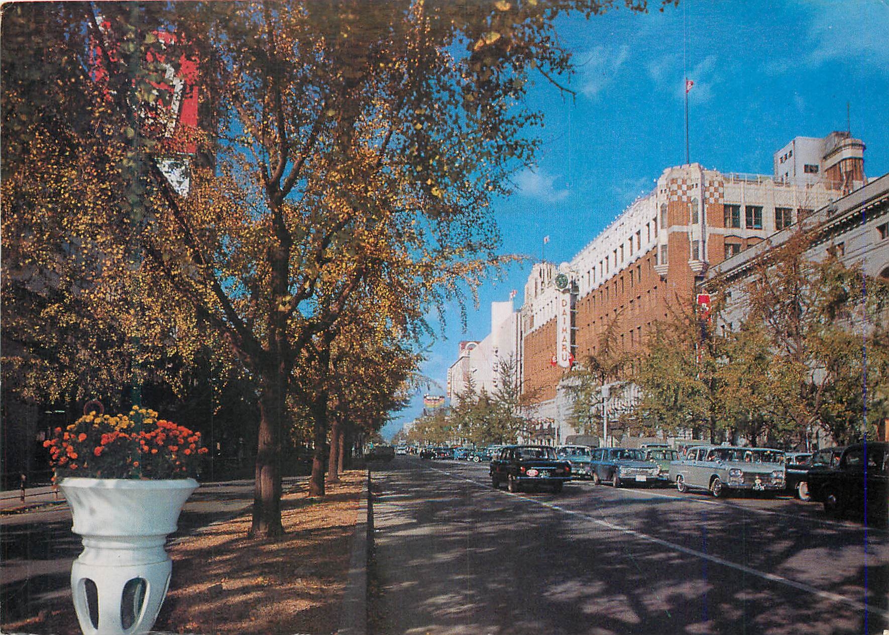 CPM Midosuji Street With Gingko Trees Osaka