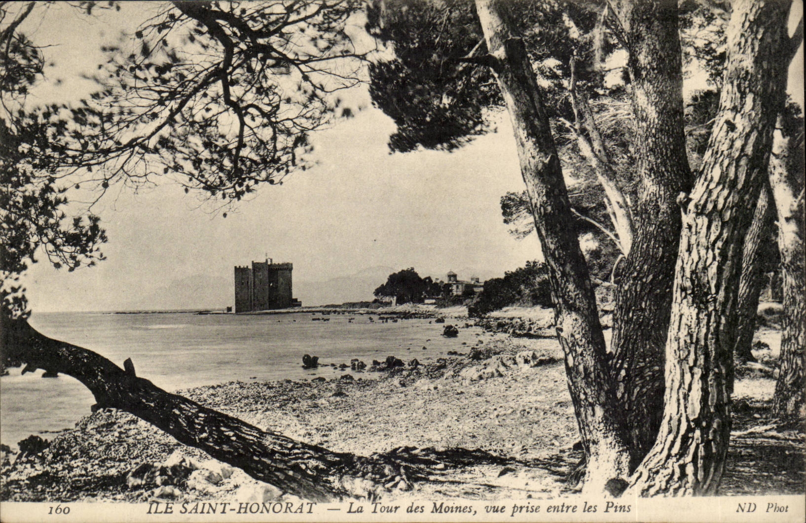 Cannes - Island St Honorat - the Tower of the monks seen from sntre pines - CPA