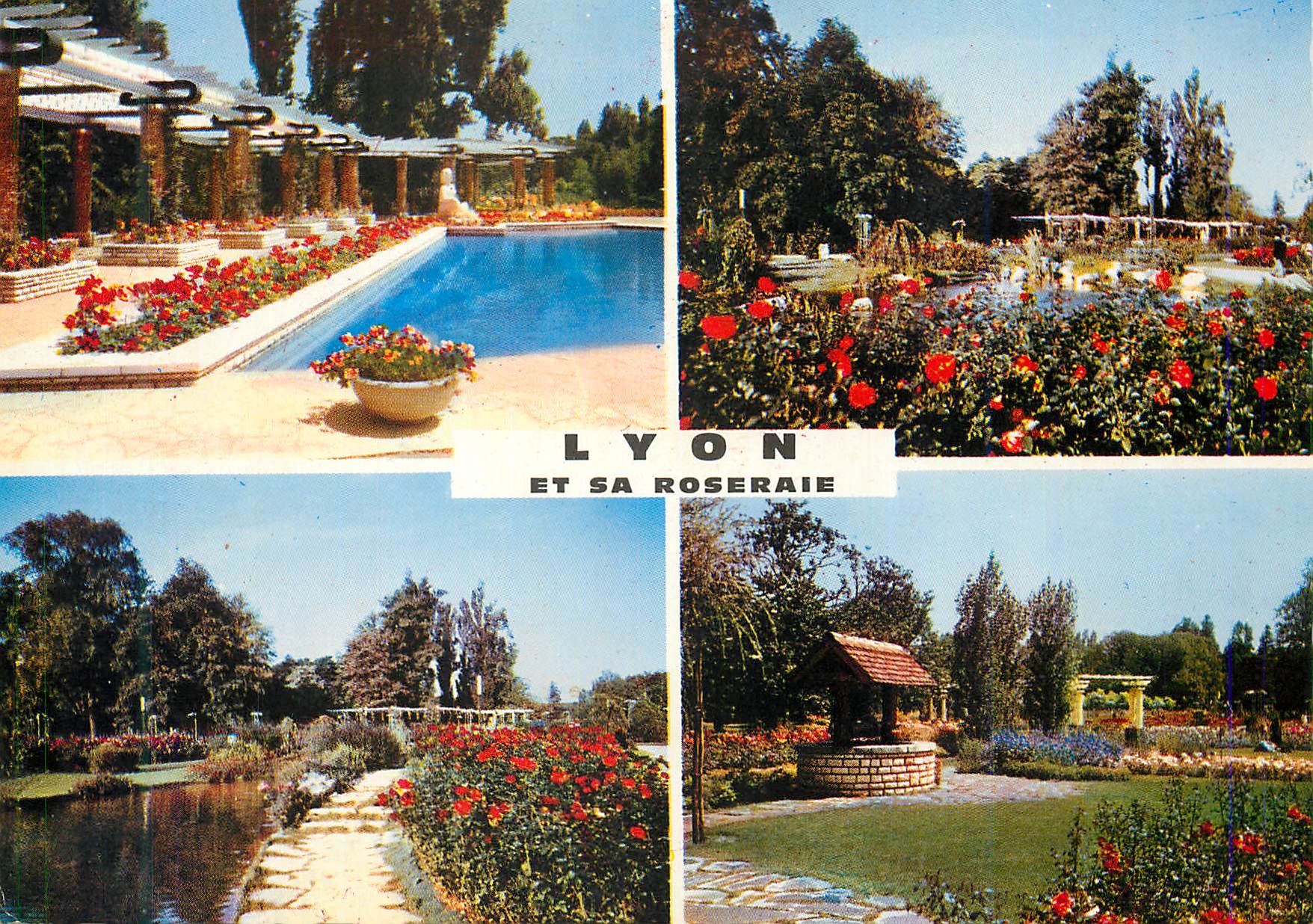 CPM 69 123 125 lyon la roseraie du parc de la tete d or