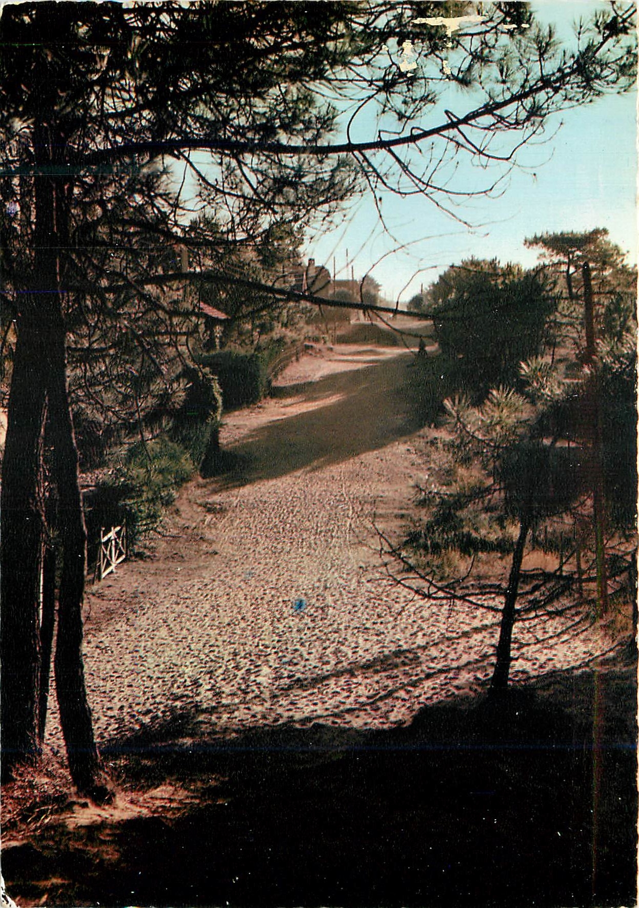CPM 23 petit chemin de foret a saint jean de monts(vendee)