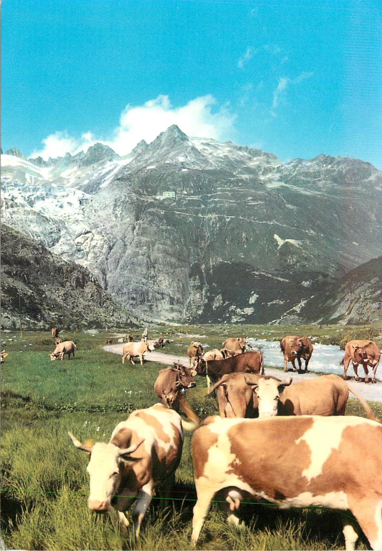CPM Gletsch mit rhonegletscher Vaches