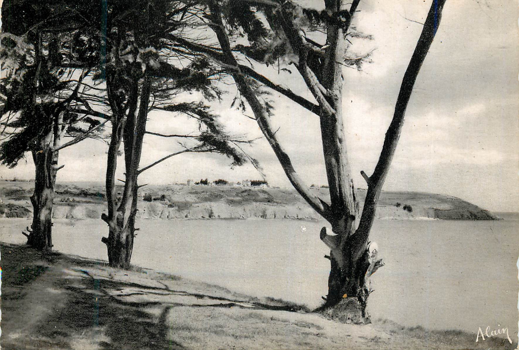 CPA Saint Laurent C du N La Plage