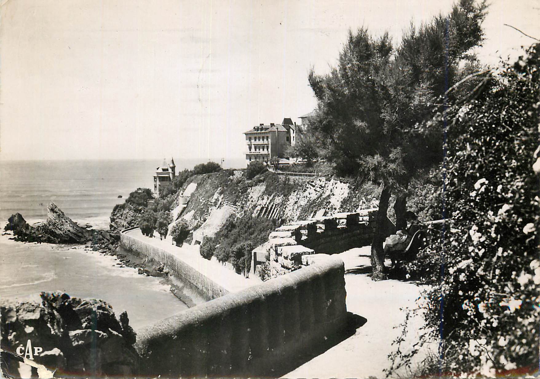 CPM Biarritz La Cote des Basques