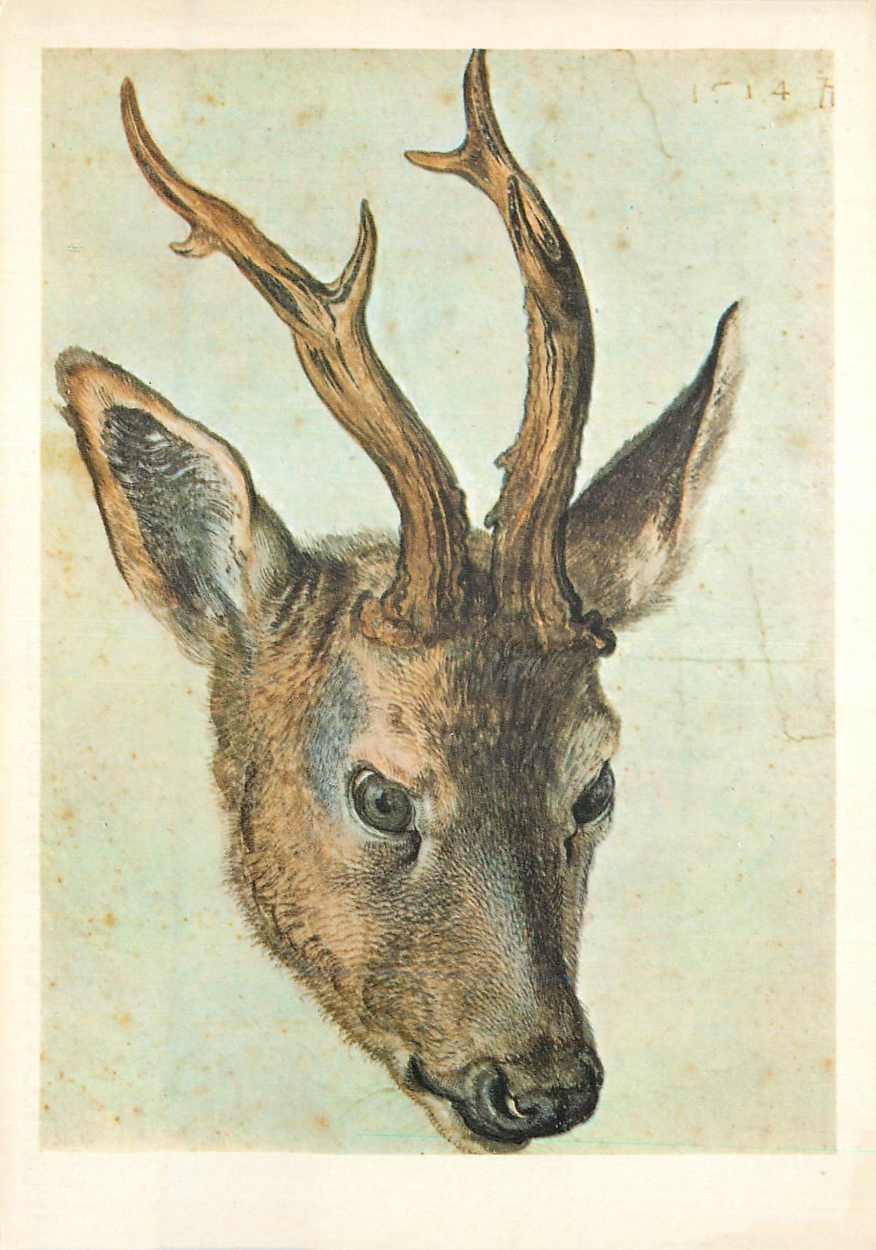 CPM Les Chefs d Oeuvre du Musee de Bayonne Albert Durer Tete de Cerf