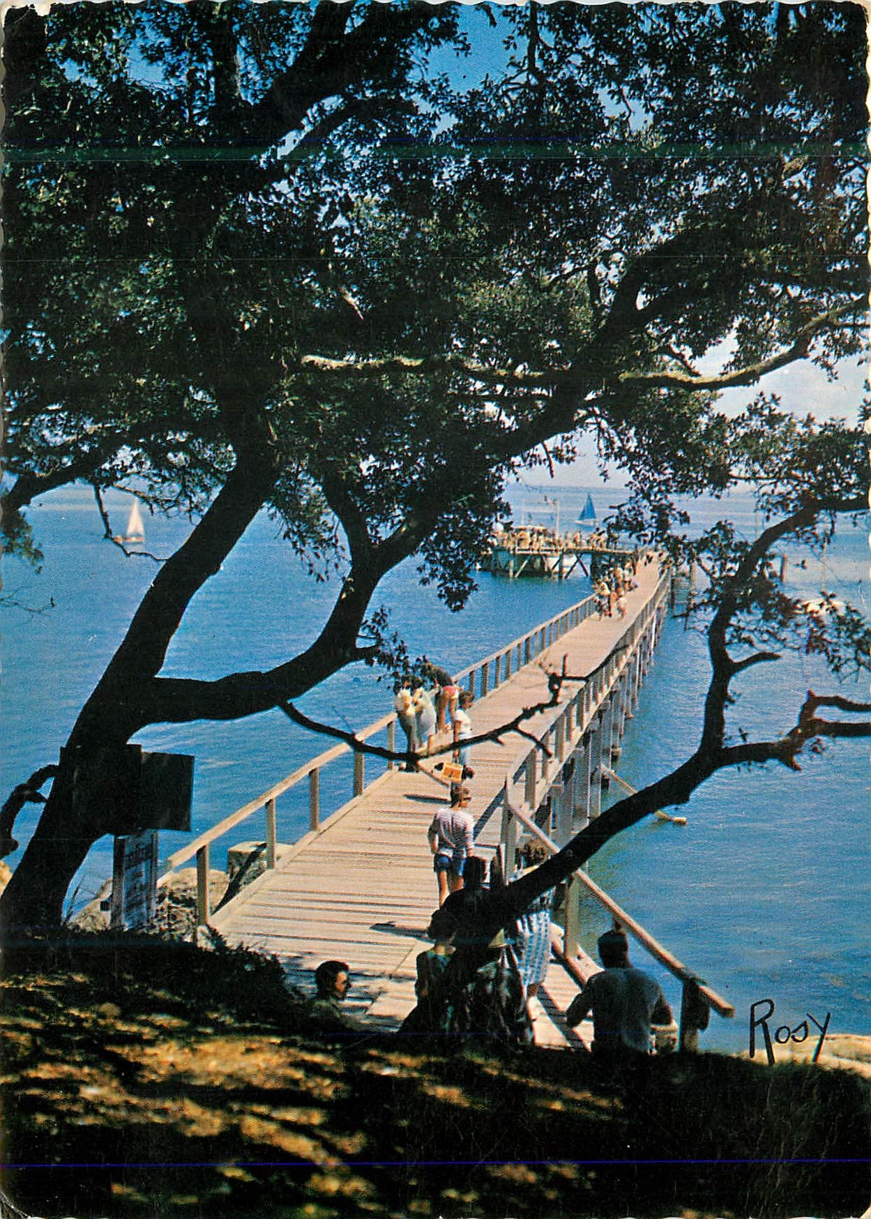 CPM Noirmoutier Estacade de Bais de la Chaize