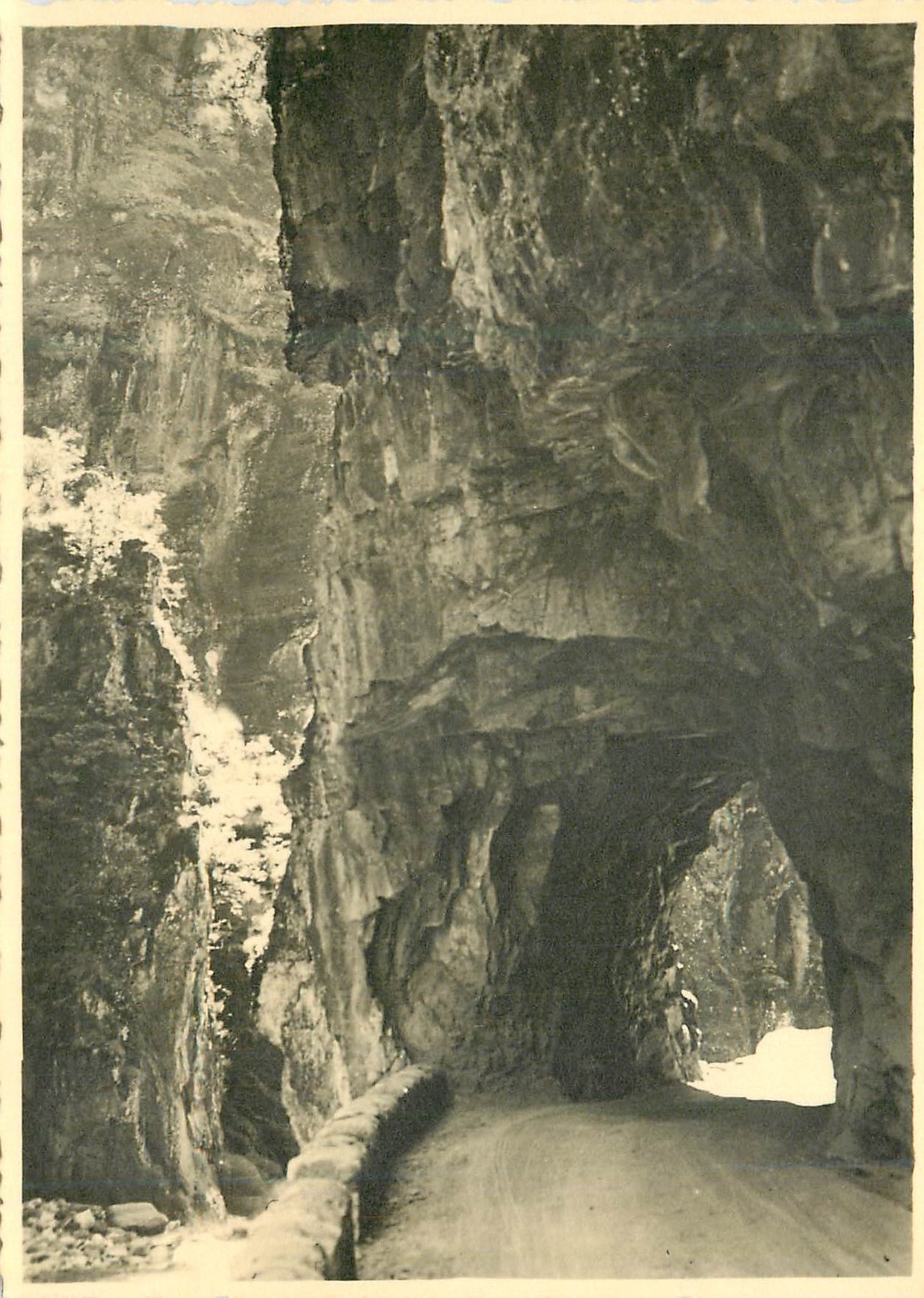 CPM Gorges du Cians sur la Route