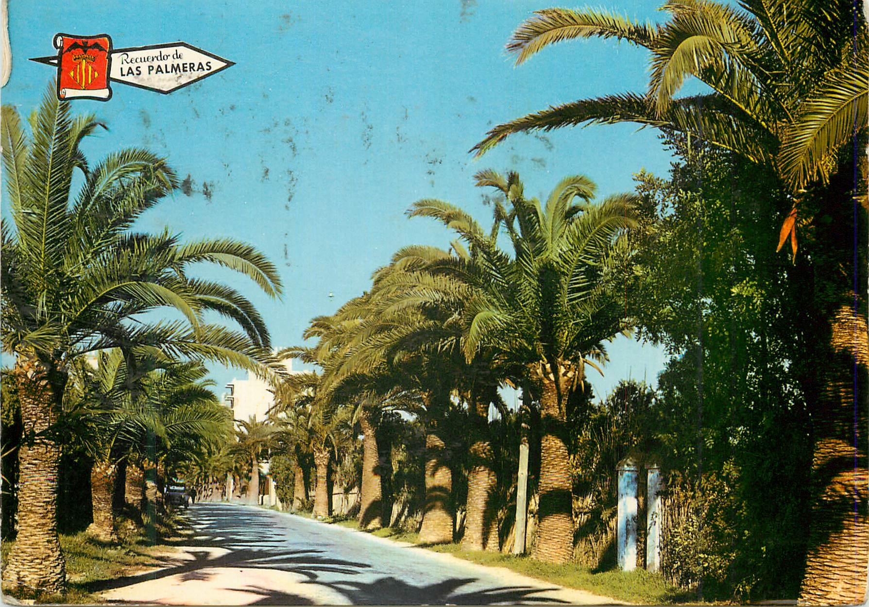 CPM Valencia Les Palmiers