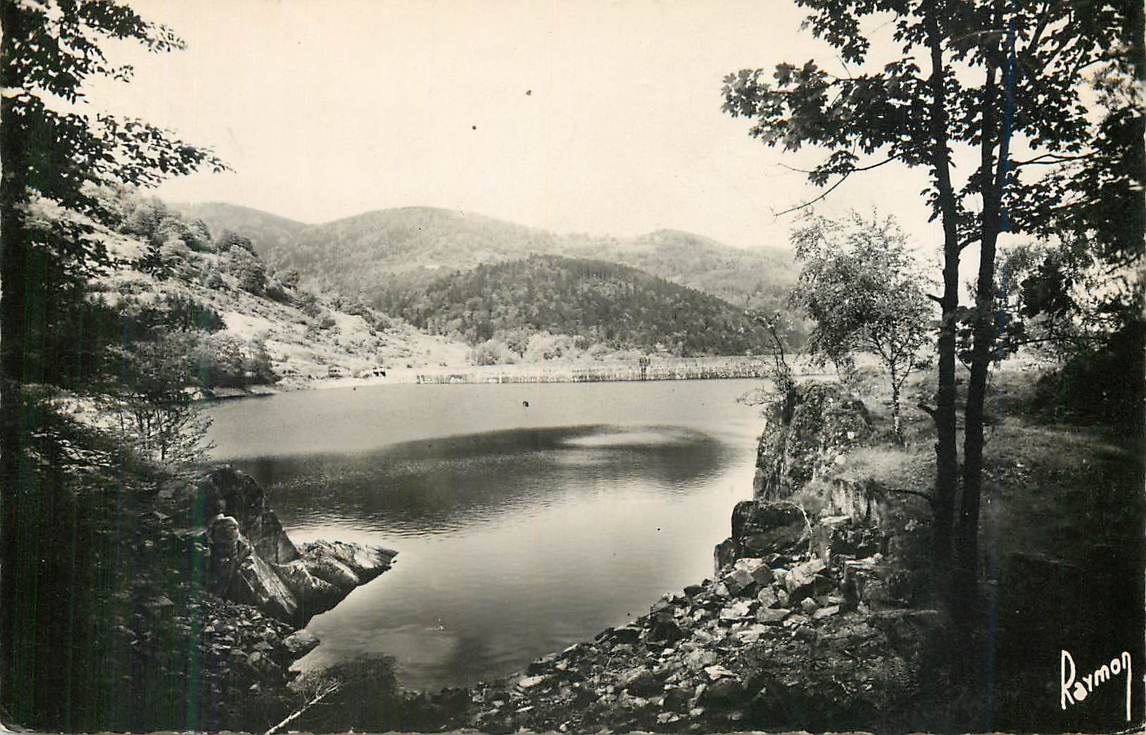 CPM Lac d'Alfeld (Haut Rin) Vue sur un Cote du Lac sur la Montagne