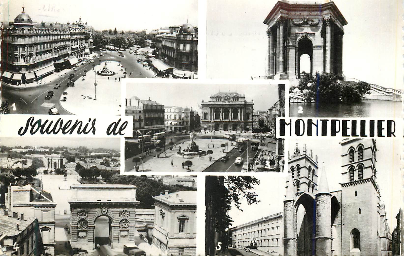 CPM Souvenir de Montpellier