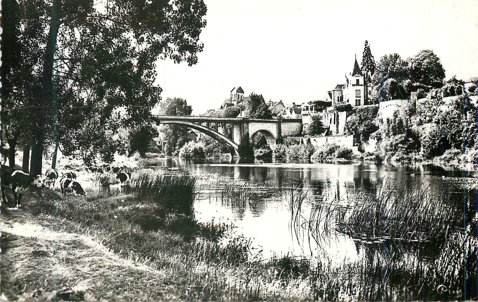 CPM La roche posay les bains (vienne) 131 les bords de la creuse