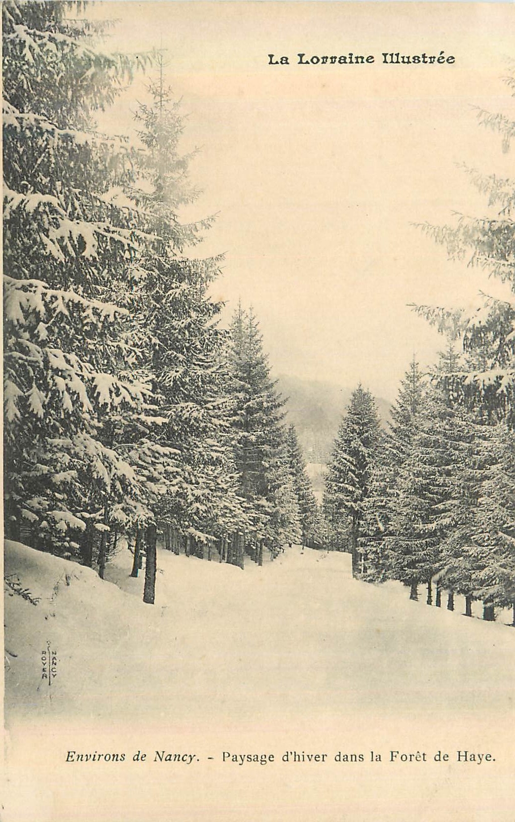 CPA Environs de Nancy La Lorraine Illustree Paysage d'Hiver dans la Foret de Haye