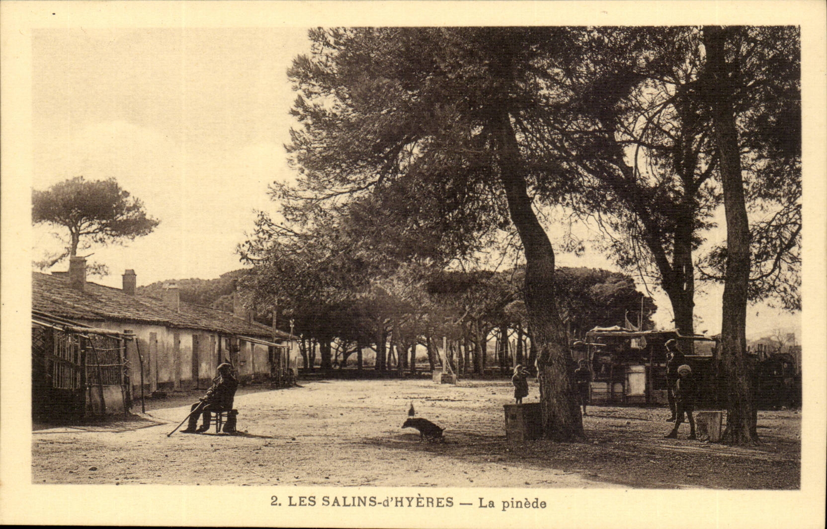 CPA die salzigen von Hyeres der Kieferwald