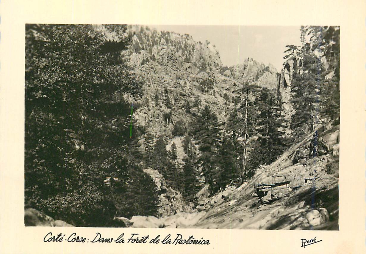 CPM Corte Corse Dans la Foret de la Restonica