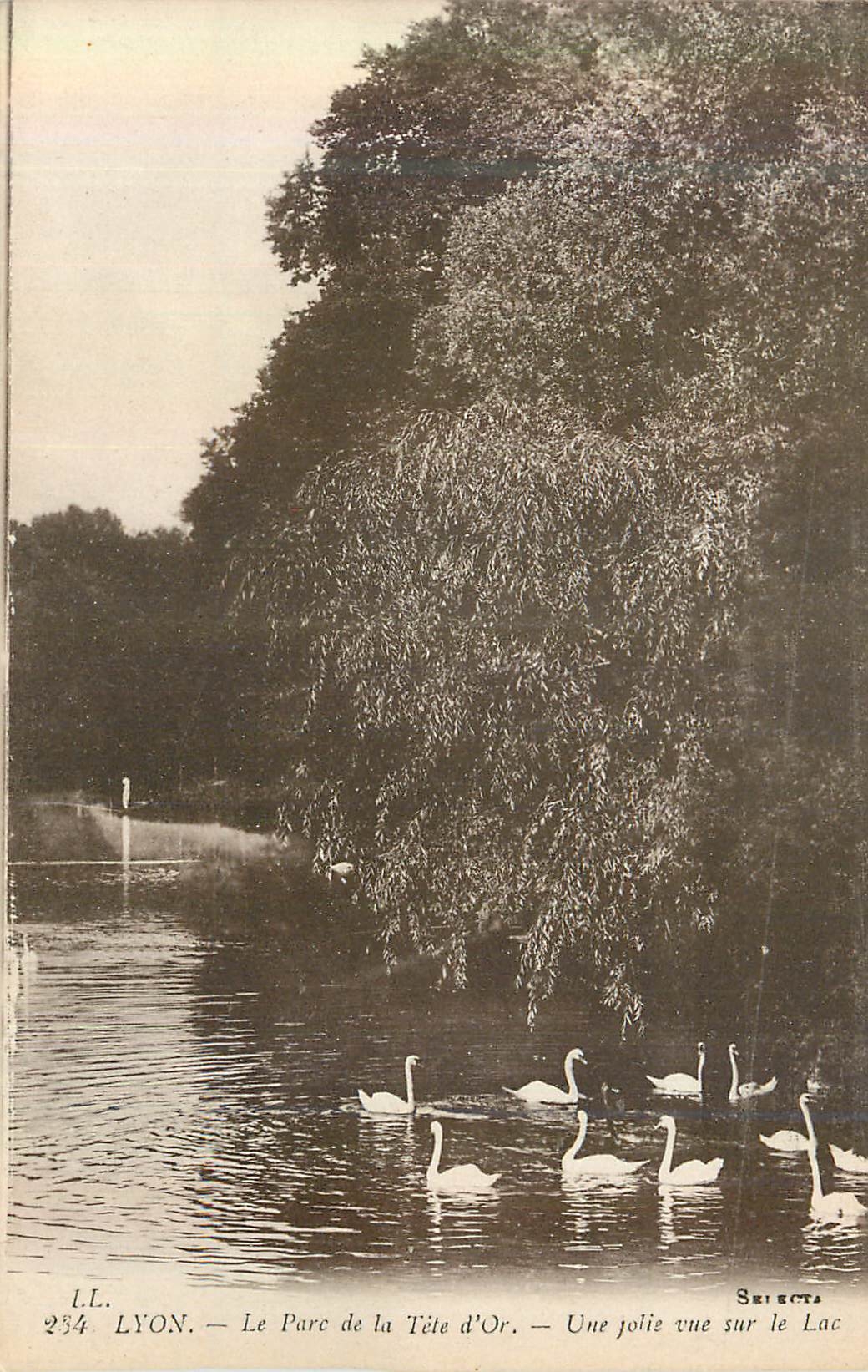 CPA Lyon Le Parc de la Tete d'Or Une Jolie vue sur le Lac