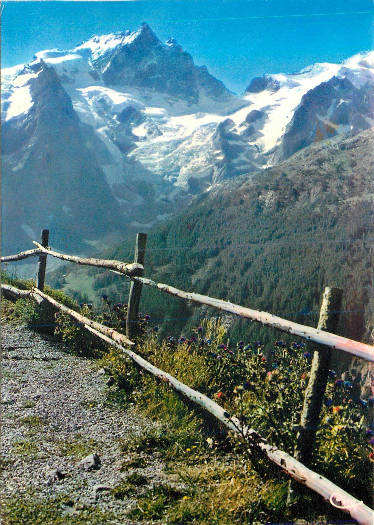 CPM Nos Belles Alpes La Meije (alt 3947 m)