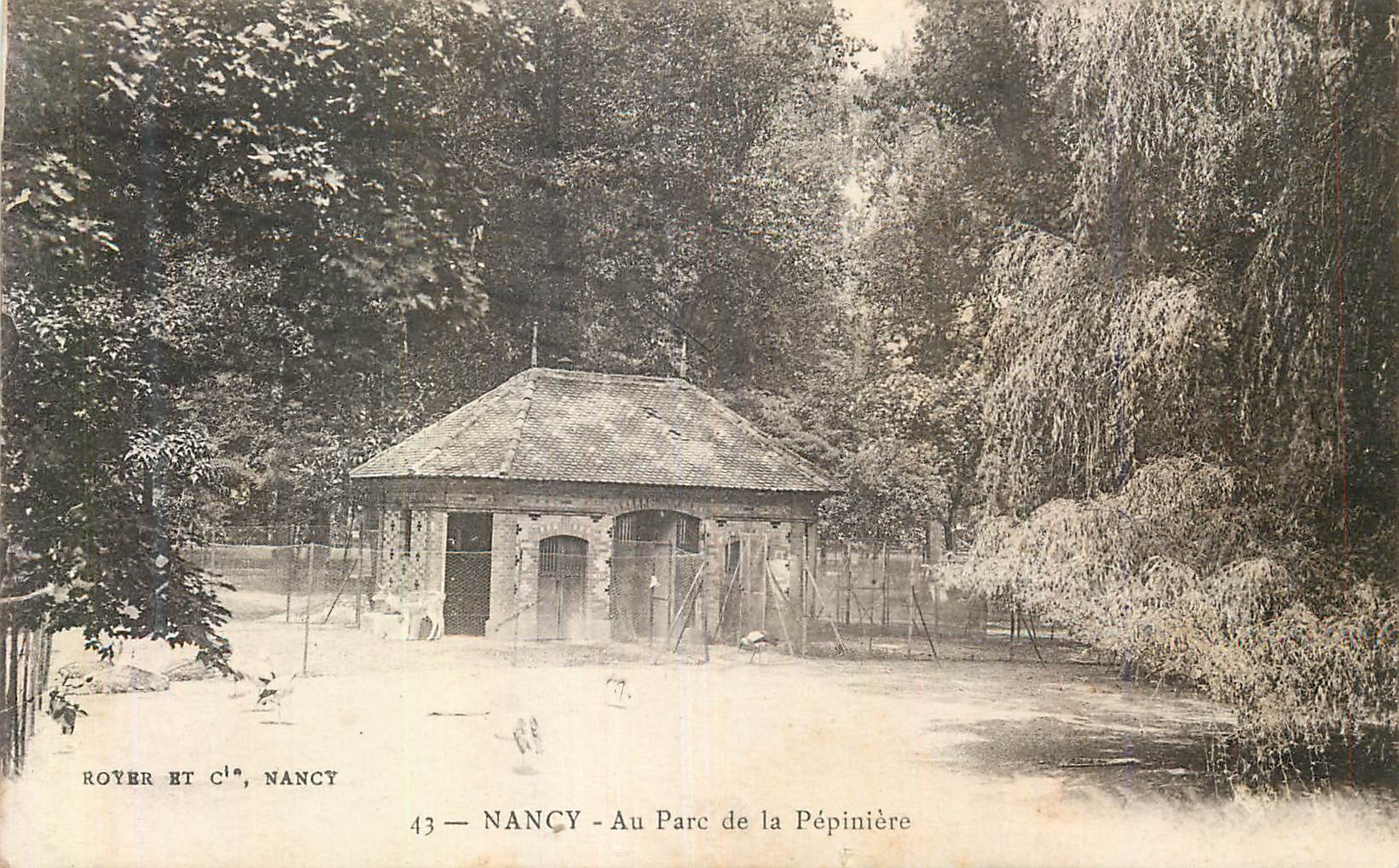 CPA Nancy au Parc de la Pepiniere