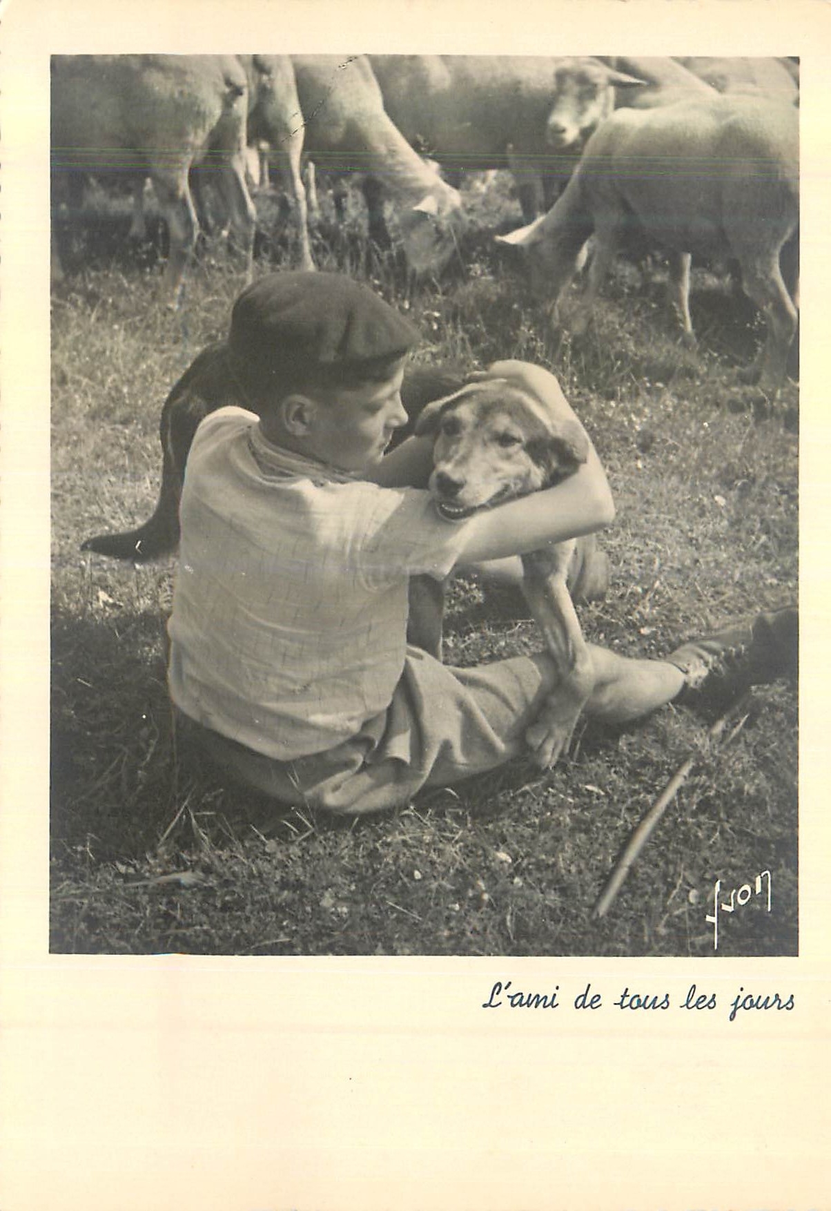 CPM L'Ami de tous les Jours Enfant Chien Moutons