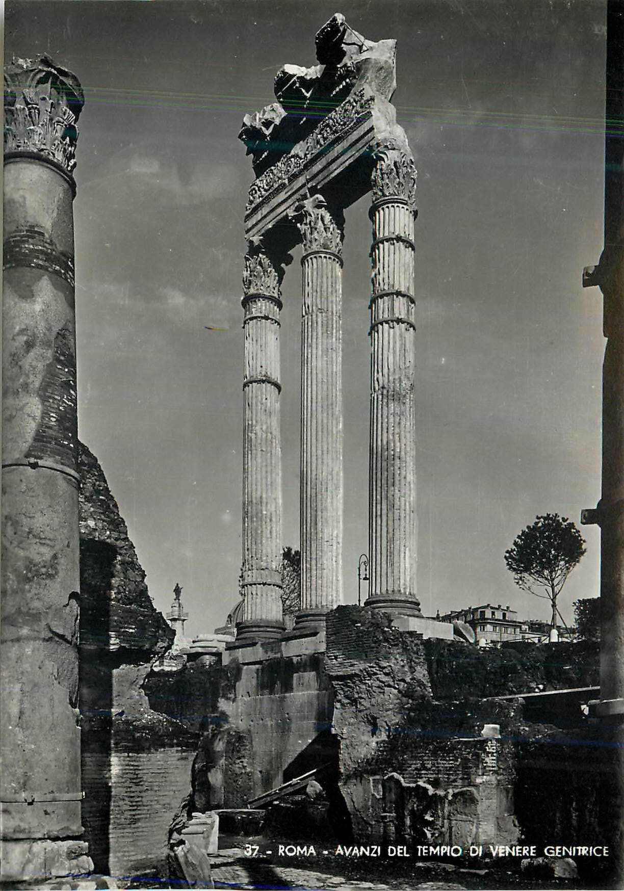 CPM Roma Avanzi Del Tempio Di Venere