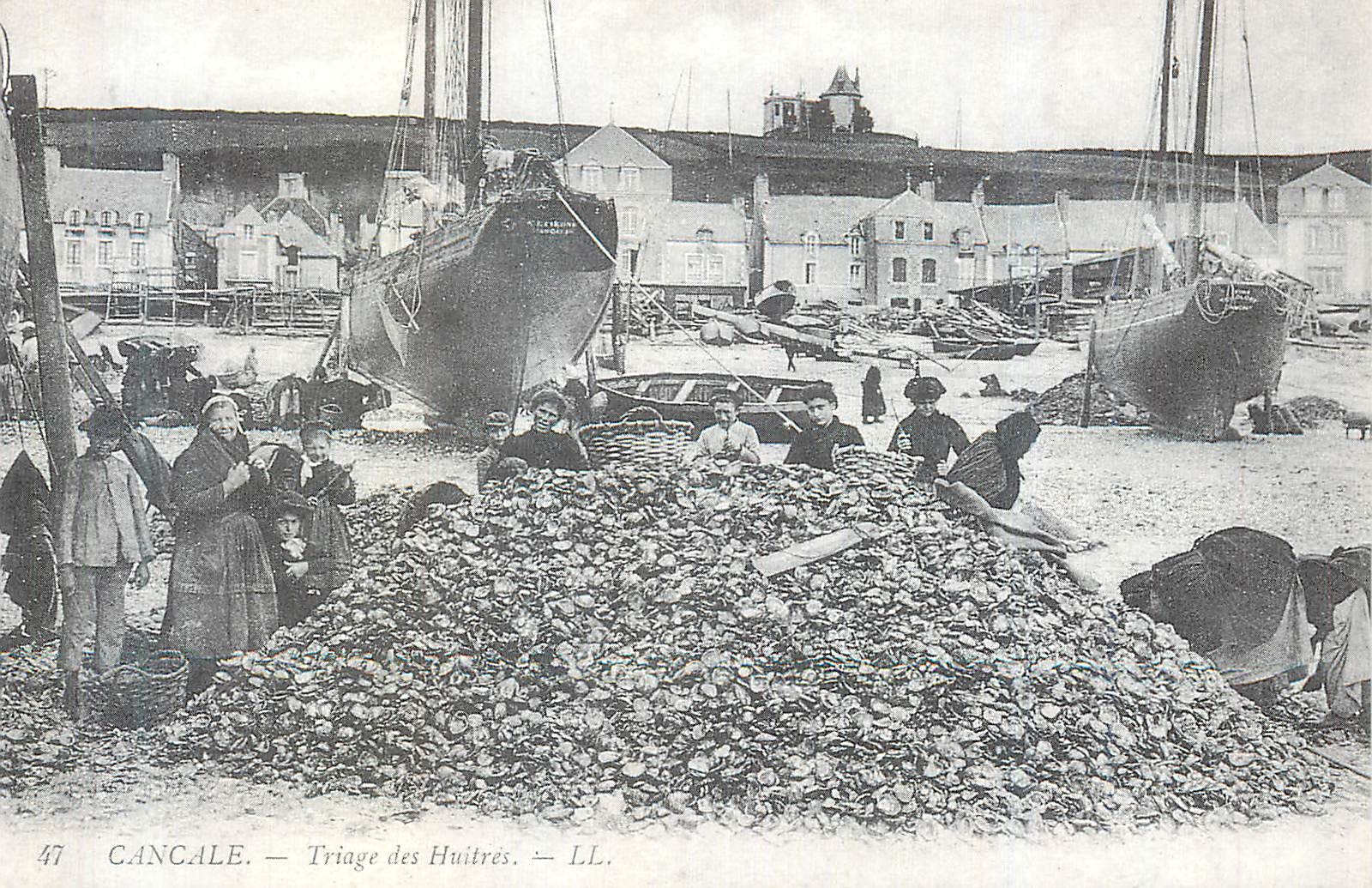 REPRO Cancale Triage des Huitres